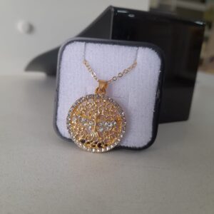 Cordão Folheado Medalha Divino Espirito Santo