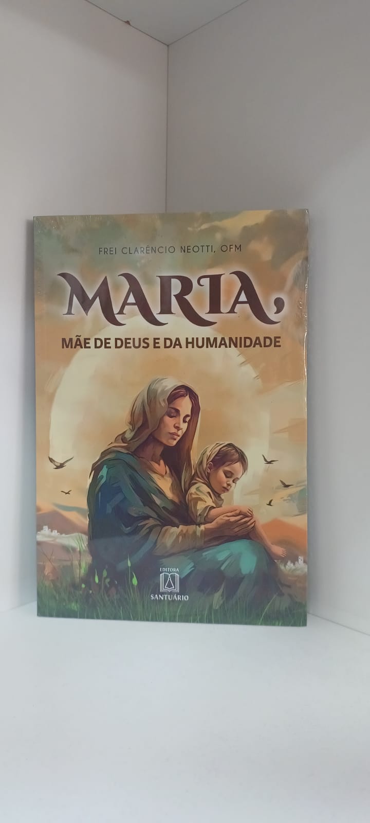 Livro Maria, mãe de Deus e da humanidade (cod 5809)